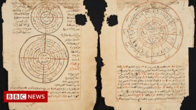 Timbuktu Manuscripts: Ancient Mali Documents Captured Online