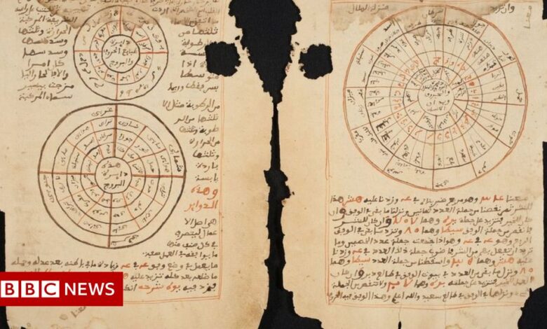 Timbuktu Manuscripts: Ancient Mali Documents Captured Online