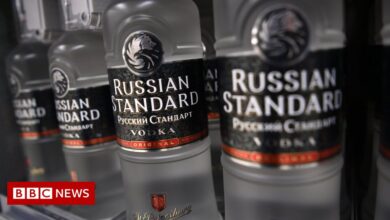 US bans imports of Russian diamonds and vodka