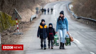 M&S and Asos among companies trying to hire Ukrainian refugees