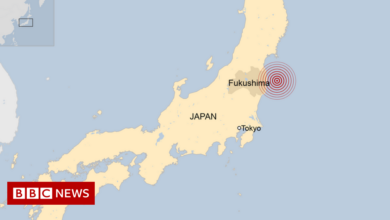 Japan suffered a strong earthquake that cut the strength of millions of people