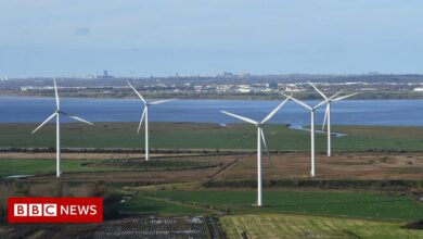 Cabinet split over changing zoning laws to allow more wind farms