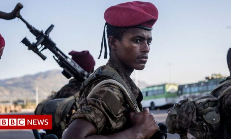 Ethiopia's Tigray War: Government declares humanitarian armistice