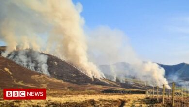 Grass fires: Wales' resources stretched by 'fire season'