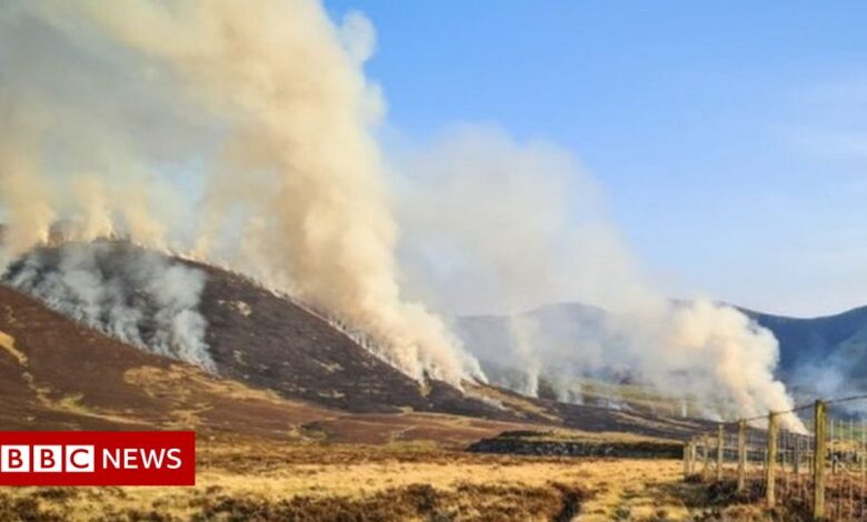 Grass fires: Wales' resources stretched by 'fire season'