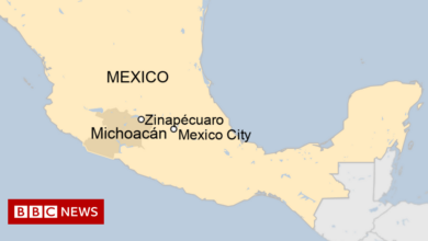Mexico shooting: At least 19 people died at the cockfight hole