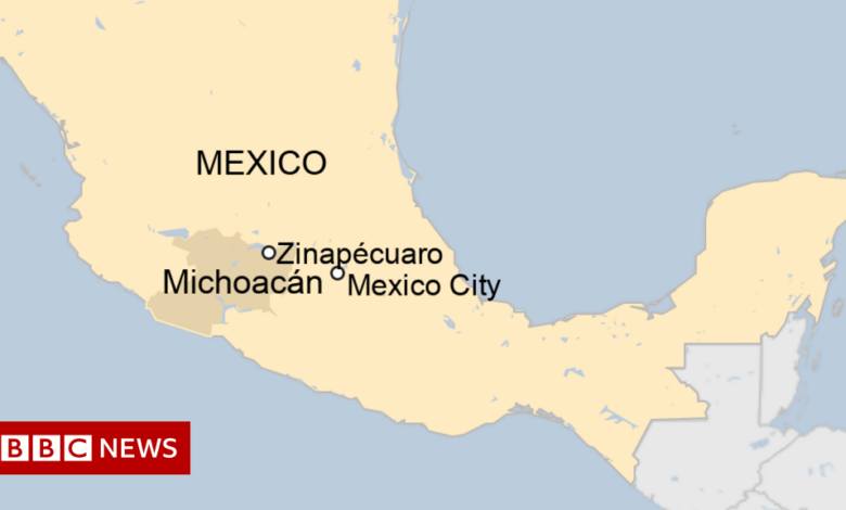Mexico shooting: At least 19 people died at the cockfight hole