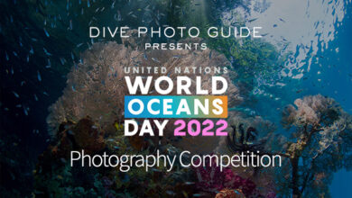 The IXth UN World Oceans Day Photo Contest