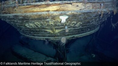 Shackleton's Ship Durability Found in Antarctica