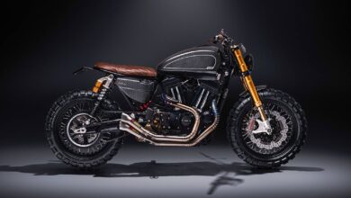 Muscle R2 by Cohn Racers: The Last Special Sportster