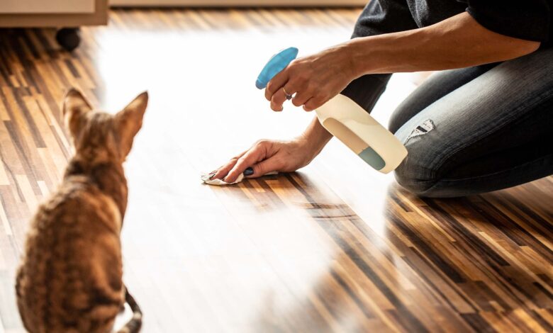 The 20 best cleaning tools for messy pets under $20