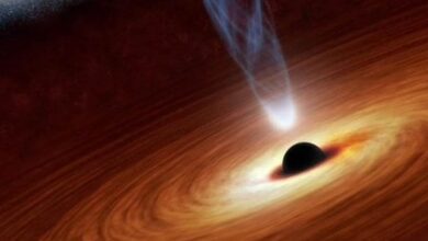Surprise!  The closest 'black hole system' to Earth has NO black holes