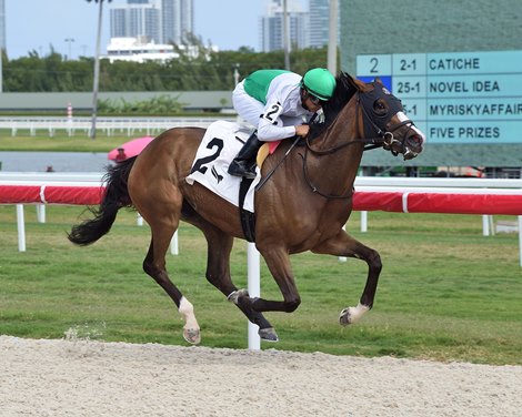 Catice, Taiba, Beguine Impress in Maiden Wins