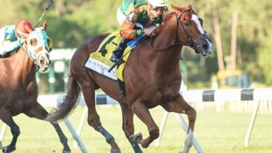 Classic breezes on the way, likely for the Florida Derby