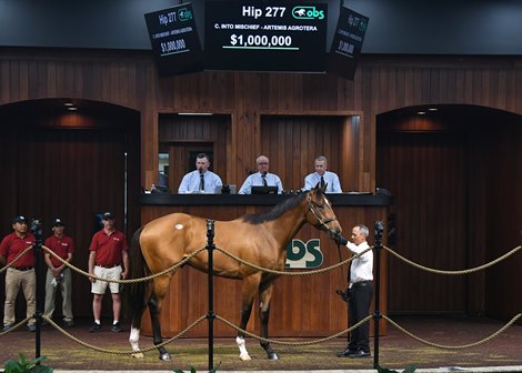 NY-Bred Into Mischief Colt Brings in $1 Million