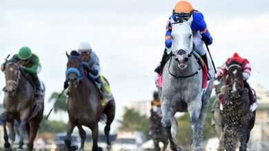White Abarrio continues to prepare for the Florida Derby