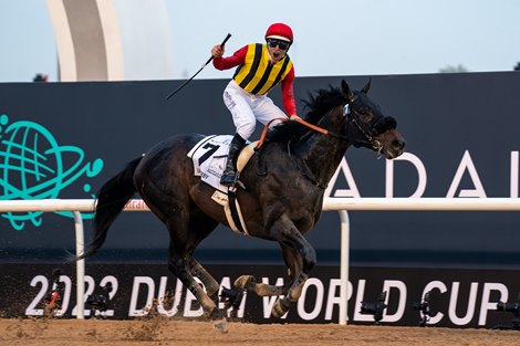 Crown Pride enters KY sailing with victory in UAE Derby