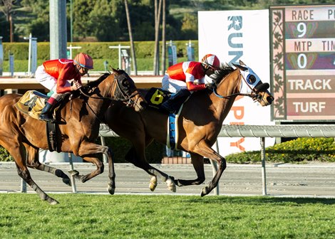 Acclimate takes them all the way in San Luis Rey