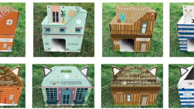 New cabin accommodation “Pawsh” for cats and small animals