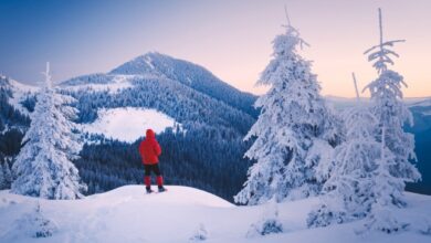 Person standing on snowy peak next to snow-covered pine tree