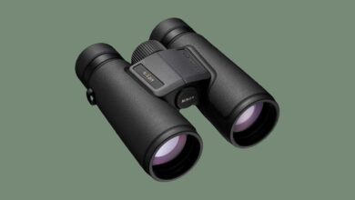 Best Binoculars (2022): Nikon, Celestron, Swarovski, Zeiss