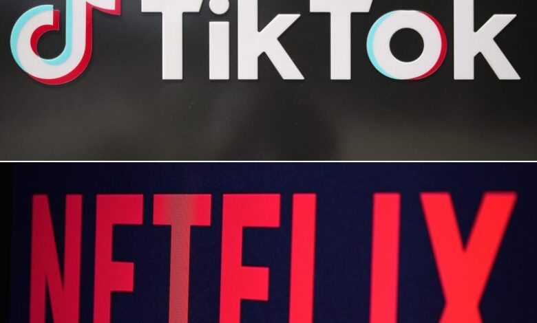 TikTok & Netflix suspend service in Russia amid ongoing Ukraine invasion-TikTok suspends new content and live streaming due to new law on 'fake news'