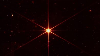 James Webb Space Telescope Sends First Image THIS- Discovering an Amazing Star