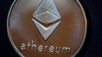 'Russian Ethereum' Rejects Root While Token Goes Parabolic