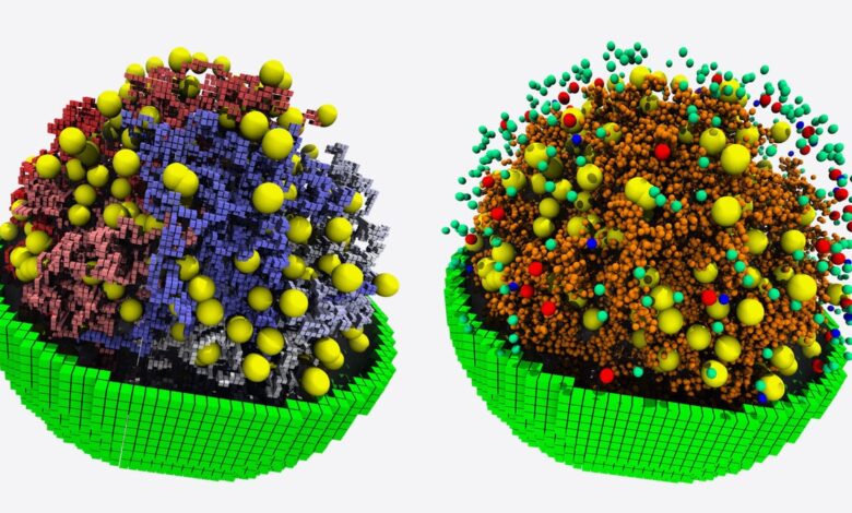 The most complete simulation of the hidden rules in life of Cell Probe