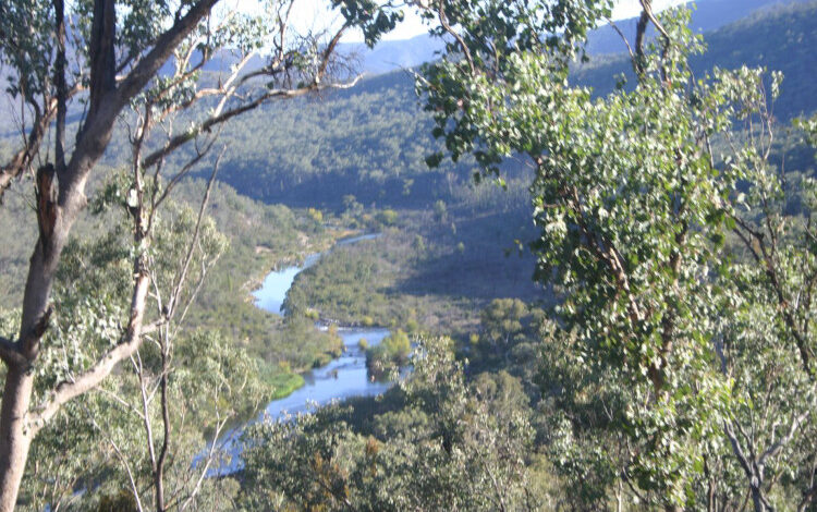 Aussie SMH to develop on the Snowy River Green energy pump hydroelectric scheme - Thriving on it?