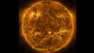 This amazing NASA photo of the Sun made history!  May help solve the mystery of solar flares