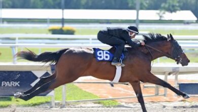 FT Gulfstream Under Tack Show sets a time record