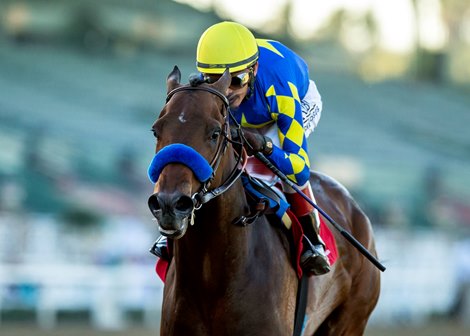 Messier, another Baffert 3 years old join other cages