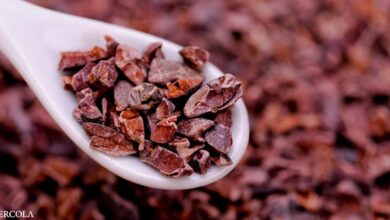 Can Cutting Cocoa Fix Your Heart?