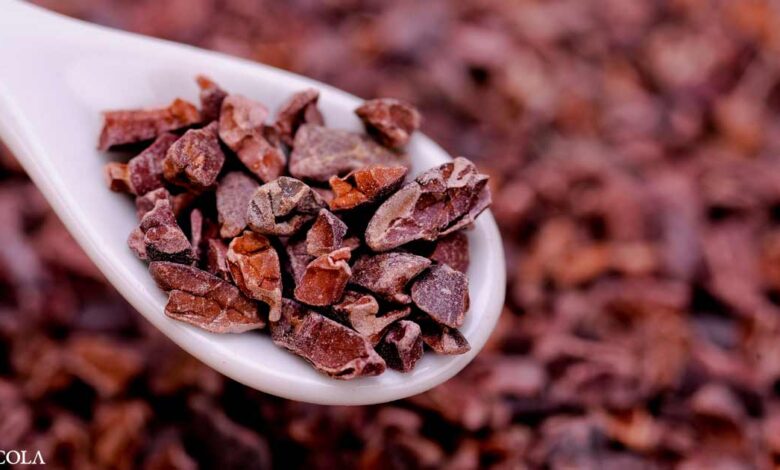 Can Cutting Cocoa Fix Your Heart?