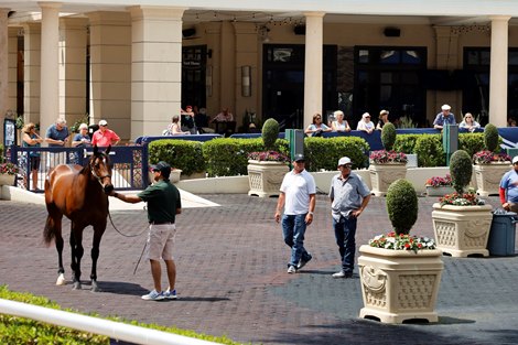 Strong competition for top products when selling at Gulfstream