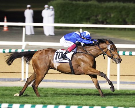 Lords of the North set to defend his title in Dubai Turf