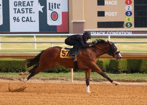 Excited, anticipating tone for 2-year Texas sale