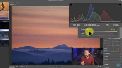 How to get more out of histograms in Lightroom and Camera Raw