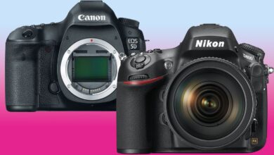 Happy 10th birthday to Canon 5D Mark III and Nikon D800