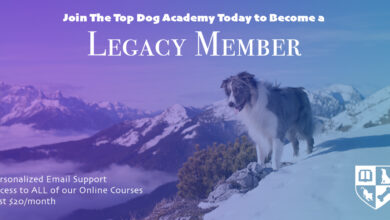 The Best Deal in Online Dog Training is about to disappear...forever!