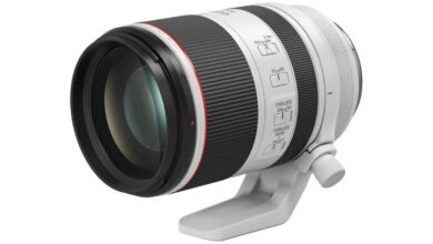 Canon confirms there will be many more lenses available