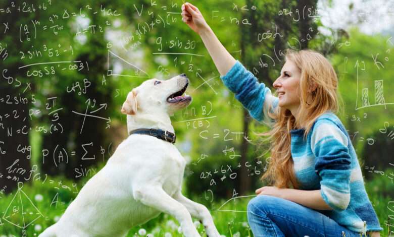 FREE SEMINAR: Science-based dog training (with feel)