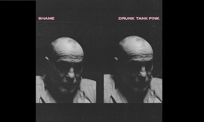 Shame - Pink Drunk Tank