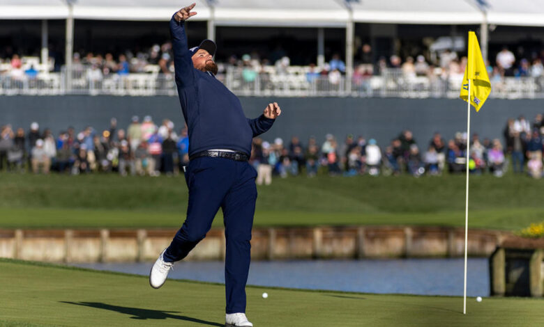 WATCH: Shane Lowry makes a great hole-in-one on the famous 17th hole at TPC Sawgrass