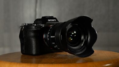 A Review of the Sony a7S III In the Field