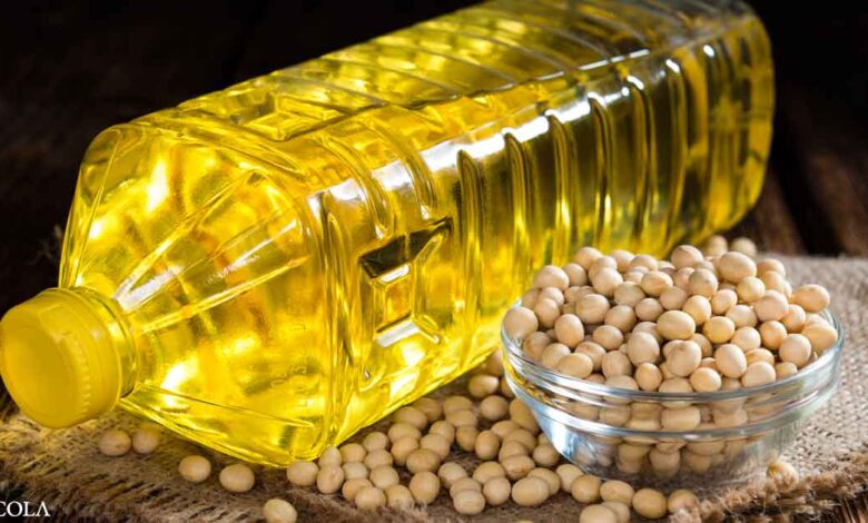 Soybean oil can cause irreversible changes in your brain