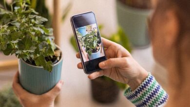 Take the stress out of plant care for National Plants Day with this $20 app