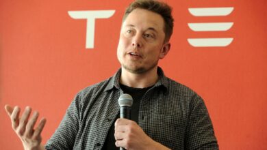 Tesla may have been involved in direct lithium mining and refining