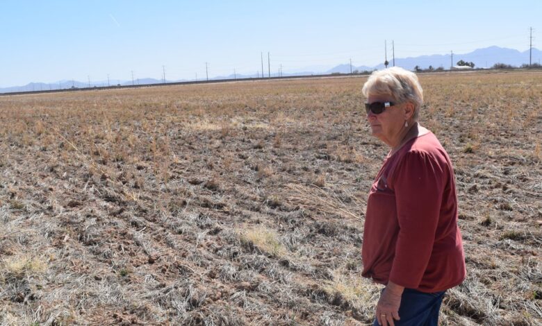 Arizona farmers suffer damage from water cuts in the West amid drought